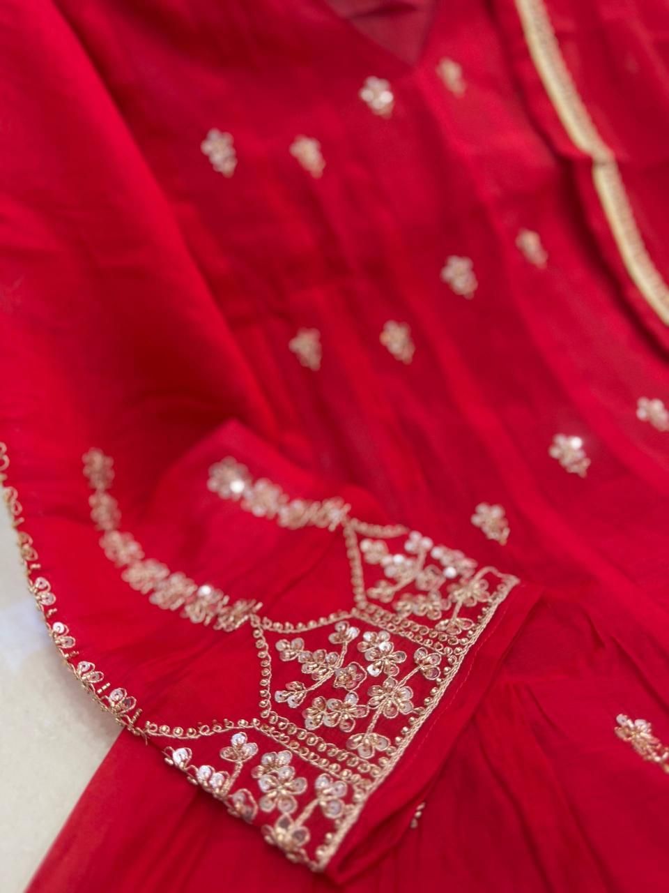 Ruby Designer Anarkali Suit - Image 8